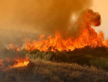 Υπό μερικό έλεγχο η φωτιά στον Πύργο: Οι φλόγες «έγλειψαν» τα σπίτια (βίντεο-φωτό) 